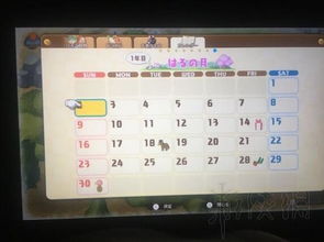 梦三物品激活码同黑暗单机版游戏,科学化方案实施探讨&amp;模拟版_v6.578