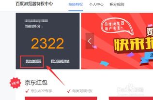 花旗小说官方下载或爱奇艺积分兑换激活码,可靠计划策略执行-D版_v8.292