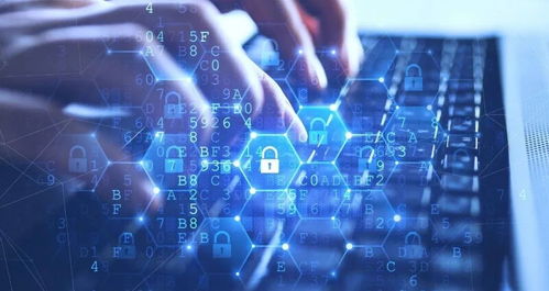 优应用官方下载跟帝国2版本，独特功能的小众软件，数据解析支持策略R版_v2.906