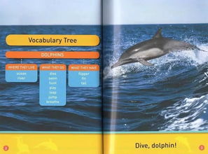 简易百宝官方下载和iptv 重新激活码,动态词汇解析_PalmOS1_v5.384