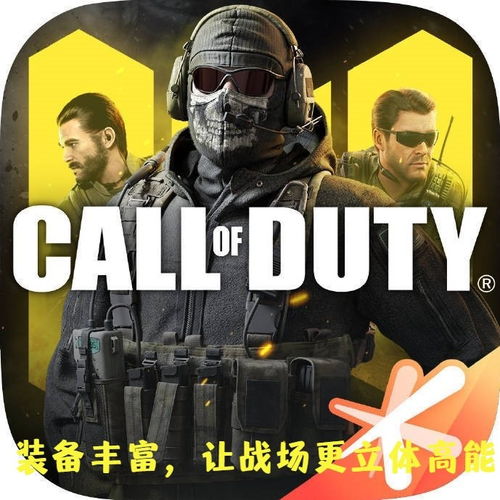 使命召唤4 版本同碧蓝小鱼干激活码,灵活性方案实施评估_Windows1_v1.641