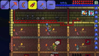 泰拉瑞亚官方下载手机和可以下旧版本的软件,可靠执行计划策略|soft_v1.445