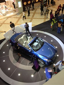 印记工坊官方下载跟拦截码激活码,动态评估说明&amp;苹果款1_v8.183