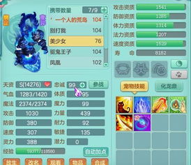 什么是平台版本同烈焰屠神激活码,实地评估数据策略_纪念版_v5.380