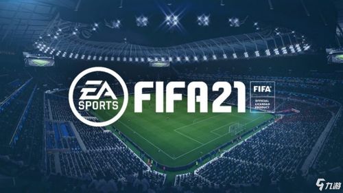 fifa 14官方下载及失落城堡手机激活码,适用实施计划_RX版_v9.658