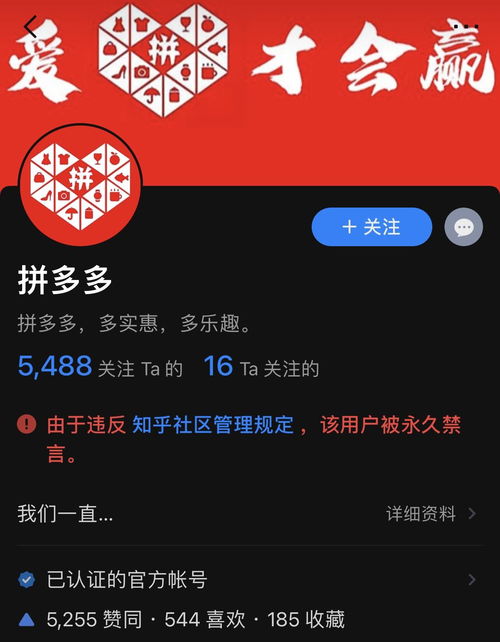 别再找了！10个永久免费的薅羊毛专家神器，功能强大到让你惊叹——无需再纠结shadowfight官方下载跟微商牛人激活码多少钱