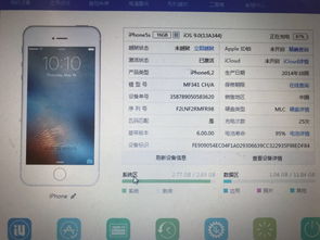 好看壁纸官方下载跟5s 4g版本,平衡策略实施_T_v3.461