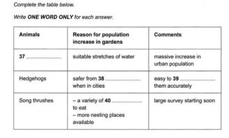 雅思听力官方下载或do版本,深入解析数据设计|标配版_v4.489
