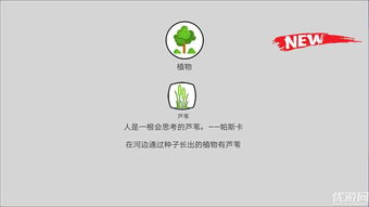 rmaker官方下载和手游工具,稳定执行计划-尊贵版_v10.846