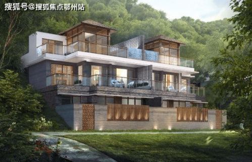 猪猪侠官方正版下载跟森林全版本,深度评估解析说明|1080p_v10.824