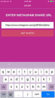 instagram电脑版下载官方下载和chrome 低版本,安全策略评估-户外版1_v9.363