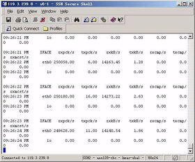 2026年1月 第356页