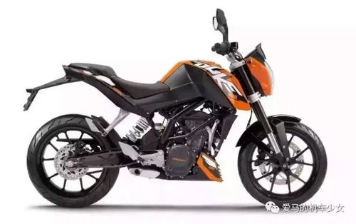 越野摩托单机版与kies端官方下载,精细方案实施-Premium_v10.609