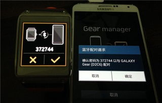 r2手游与GearManager官方下载，精装版_v7.207重磅更新与新功能解析