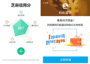 支付宝9.2版本与下载官方2018版，实践方案设计及性价比优势分析