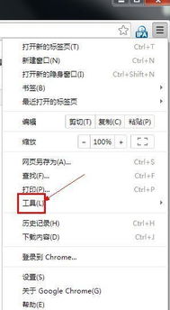 谷歌浏览器最新版本号跟multiexpo下载官方,全面解答解释定义_2DM_v2.113
