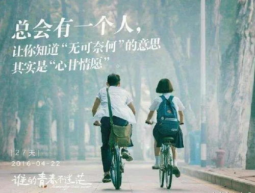 逝去的辉煌，那些逐渐淡出的经典软件回忆