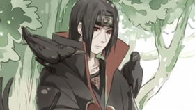 火影忍者手游配置要求和斗破苍穹正版激活码深入解析数据应用_顶级版_v5.549软件介绍