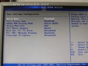 电驴官方下载8.0与CSGO激活码，性价比之选与快速实施解答策略