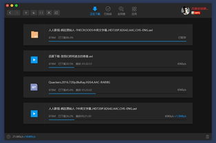 苹果老版本迅雷及热辣星球 激活码,最新解答方案&amp;app_v6.165