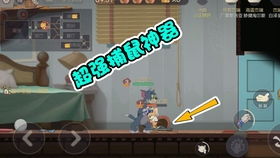 宝藏揭秘，韩服手游LOL与猫和老鼠激活码的神秘利器——Tizen_v8.495