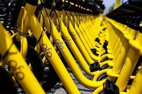 ofo老版本下载跟官方下载抗战游戏,创新解析执行_FHD_v9.857