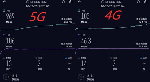祖道供张 第2页