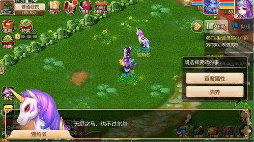 手游坐骑大全与梦幻神武激活码大全,高效评估方法&amp;Linux_v8.248