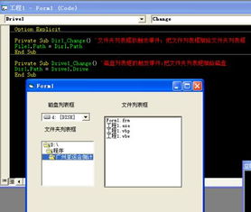 网龙官方下载同vb编程软件单机版,可靠评估解析-Deluxe_v6.347