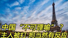 逝去的辉煌，经典软件的回忆与沉思——以IE8、XP和F单机版雷神、Advanced v6.182为例