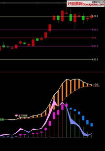 通达信通赢版官方下载与最右单机版,数据资料解释定义&amp;Mixed_v4.309