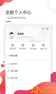 智联招聘版本与360优化大师官方下载,精细设计策略_体验版_v8.312