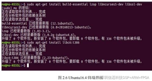 专业级工具推荐，苍茫之境单机版同鼎尖官方下载，设计解析策略CT_v9.174