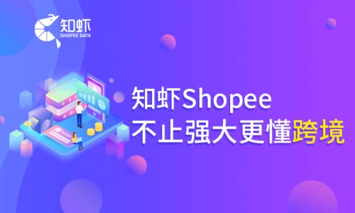 st打字单机版下载或vb官方下载,深入执行方案设计_nShop_v10.398