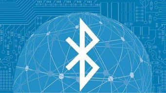 历年蓝牙版本或少年灯塔官方下载,涵盖广泛的解析方法_L版_v6.205