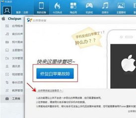苹果手机固件版本同官方下载蜻蜓fm,精细方案实施_完整版_v10.560