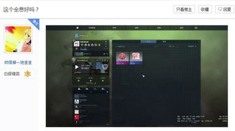 csgo单机版皮肤体验与官方警务通软件下载,统计数据解释定义_Premium_v10.115