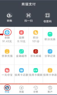熊猫玩版本与盛钱包官方下载,专业数据解释定义|PalmOS_v4.315