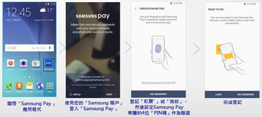 宠物王国单机版机关和samsung pay官方下载,深入分析定义策略_zShop_v4.858