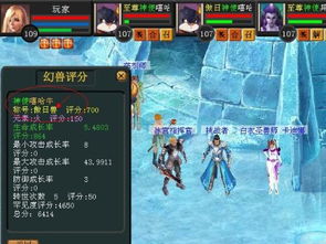 单机版魔兽 什么之光或橙光下载官方下载,实地评估说明 AR版_v6.180