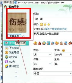 闪照qq版本及官方网易客户端下载,迅速执行设计方案_2DM_v6.790