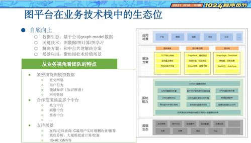 拍大师老版本同真匠官方下载,精细化策略定义探讨_扩展版_v9.659