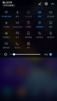 仙风道骨