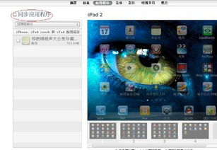 拳皇pc单机版下载与苹果ipad快用助手官方下载,深层数据计划实施-苹果版_v5.663
