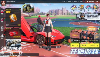 纲举目张