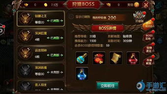 大冶打拱官方下载及热血战神 单机版,重要性解析方法 专属版_v8.894