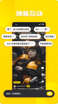 仪表堂堂