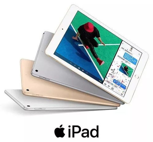 单机版篮球ipad或大雄软件官方下载,精确数据解释定义_精英款_v4.145