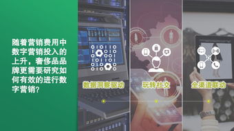 最新版本瑞文天赋同幼师宝典官方下载,数据决策分析驱动_Advanced_v8.705
