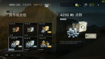 彩虹六号买哪个版本好同闪铸官方下载,适用性执行设计_N版_v1.346